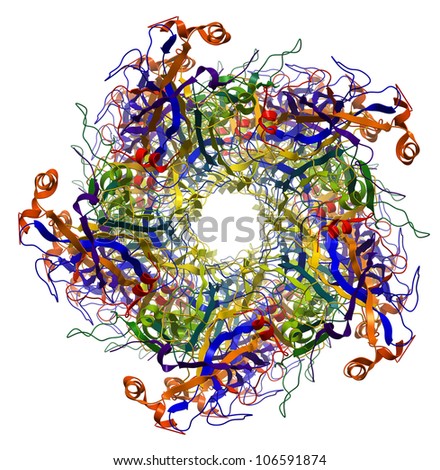 capsid protein