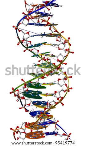 Part Of Dna