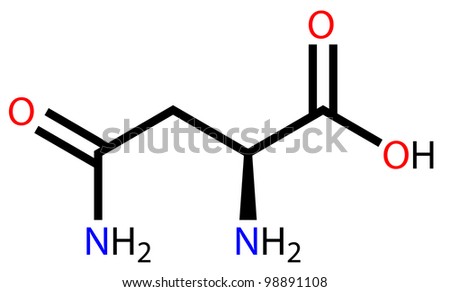 amino acid formula