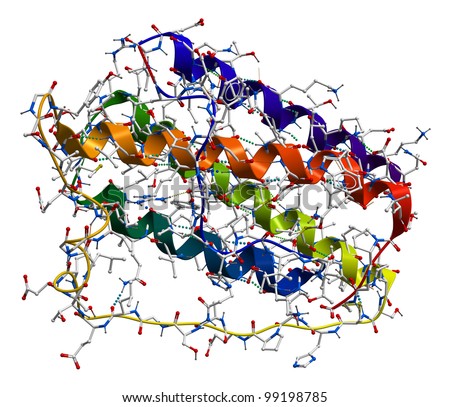 Leptin Structure