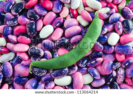 Multi-coloured string bean