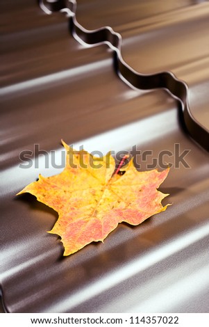 Fragment of a new metal roof, focus on a leaf