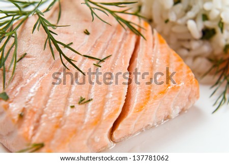 salmon with dill  on a white plate