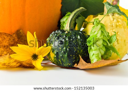 Autumn still-life . pumpkins, hop and yellow leaves