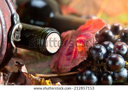 bottle with wine in old wooden case