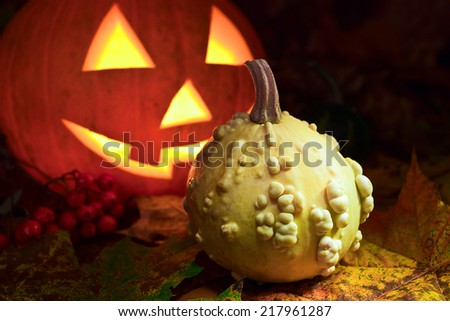 Still-life with pumpkins and the fallen down yellow leaves