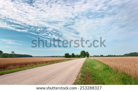 Country road through a wheaten field