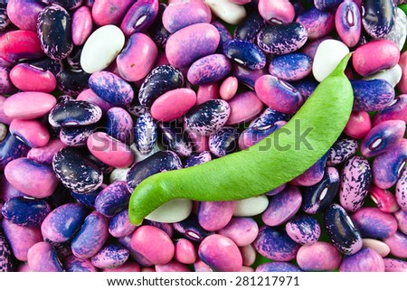 Multi-coloured string bean , macro shot , focus on a center