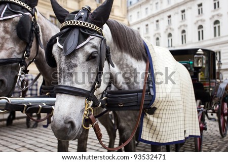 Horses waiting to whisk tourists around the beautiful city of Vienna. Spanish Riding School built in 1735 as an extension to the Hofburg Palace complex (13th Century).