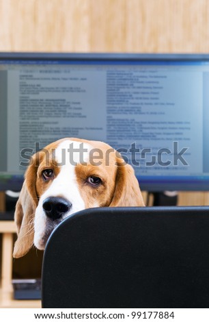 Please do not prevent to work!Focus on a dog.