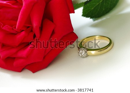 red rose & gold ring