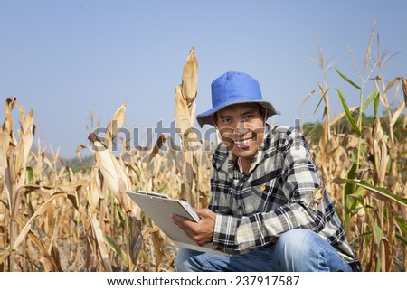 Farmer man holding corn cobs in hands in front of corn plant
