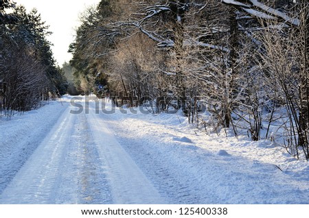 Winter road in a nordic forest