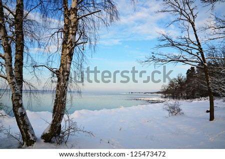 Winter coast view at a calm bay with birches and snow
