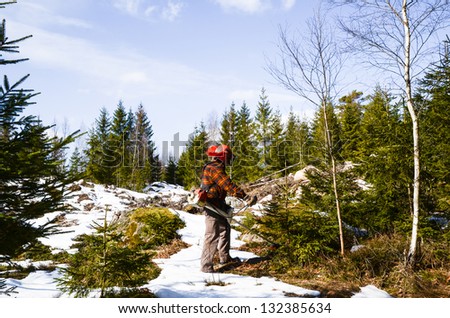 A worker in forest with a brush cutter at early springtime