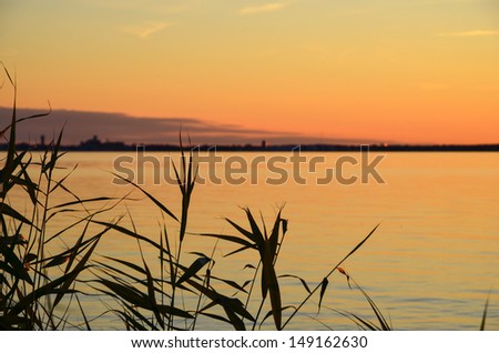 Summer evening at the island Oland in the Baltic sea, Sweden