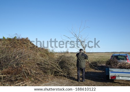 A man unloading a trailer with cut garden twigs at springtime