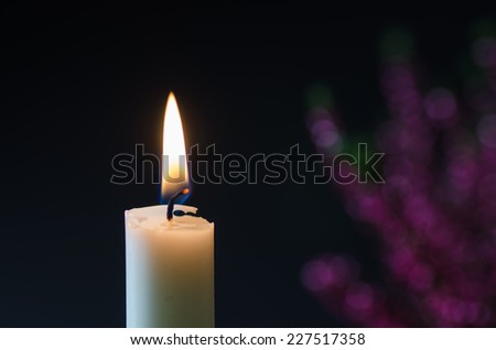 One white burning candle with a blurred heather flower in the background