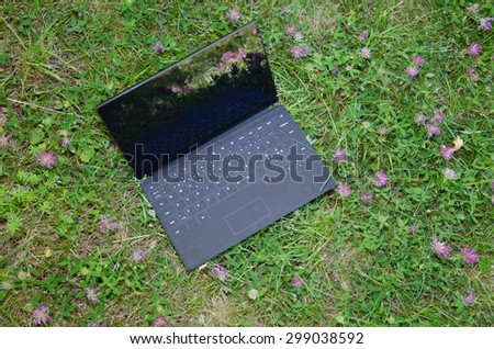 Laptop outdoors at a green field with pink clover flowers