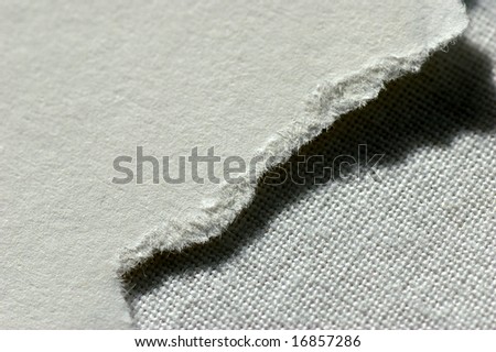 close up of a piece of torn paper