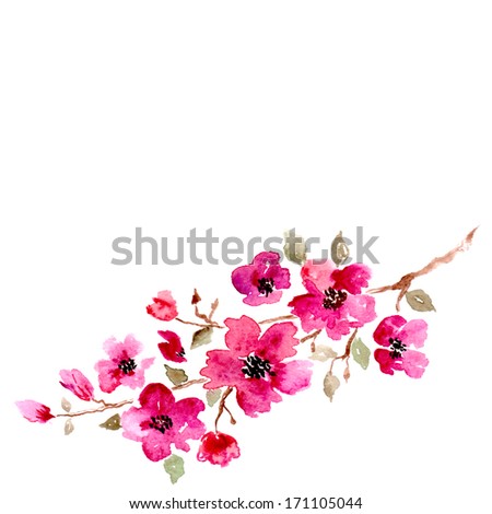 Cherry blossom. Sakura flowers. Floral background. Branch with pink flowers. Birthday card.