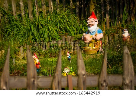 Garden Dwarf
