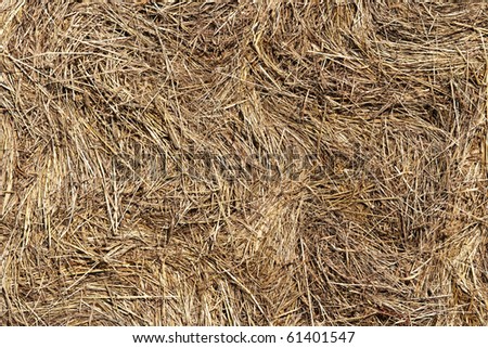 pressed straw - straw bales - surface