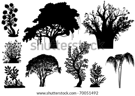 African Trees Clipart