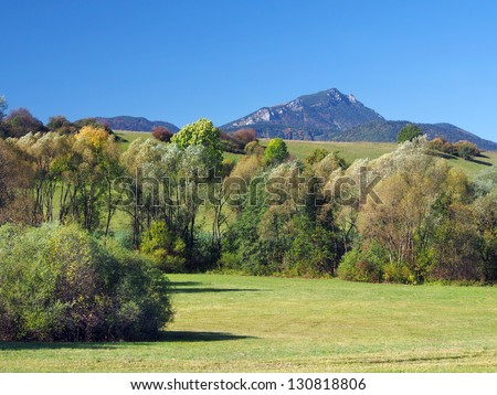Summer view of meadow and peak of Great Choc (Velky Choc) Mountain (alt. 1,607 meters) can be seen in distance. Great Choc is very popular hiking destination for tourists.