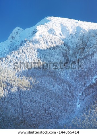 Vertical winter view of mount Great Choc (Velky Choc) covered with snow. Great Choc mountain is the highest peak (alt. 1 611 meters) of Choc mountain range, in Lower Orava region, northern Slovakia.