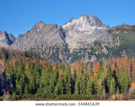 Late autumn view of peaks of Popradsky Hreben and Tazky Stit. Coniferous trees can be seen in foreground. These peaks are part of High Tatra mountain range, Slovakia.