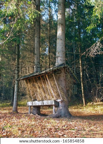 View of sheltered wooden feeder in Slovak forest with hay prepared for feeding wild animals throughout a winter. This photo was taken in Vysny Kubin village, Orava region, Slovakia.