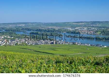 the famous Wine Village of Ruedesheim in Rheingau,Rhine River,Germany