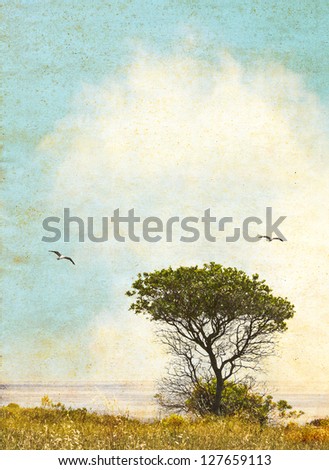 An oak tree along the California coast with ocean fog in the background.  Image done in vintage colors with pleasing grunge textures and paper grain.