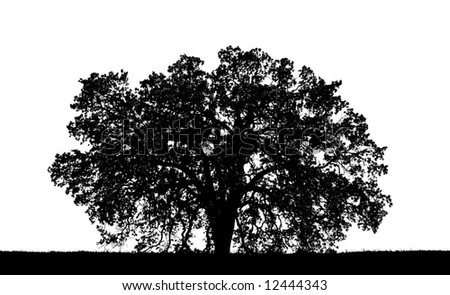oak tree silhouette clip art. oak tree silhouette.