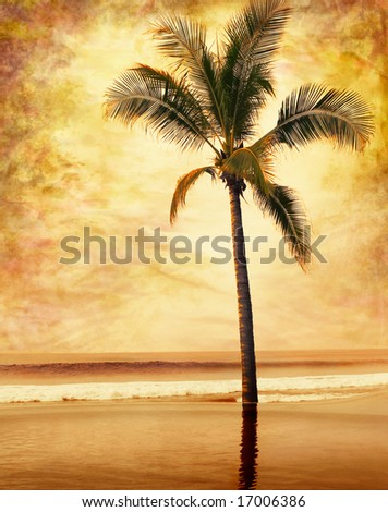 A sepia-toned palm tree done in a painterly grunge and vintage style.