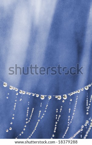 Selective focus on dew drops on a spider web with a blue textured background.