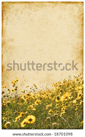 An old postcard with a faded yellow flower foreground.