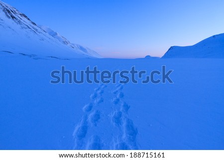 Footprints in the snow at dusk in the mountains of Swedish Lapland.