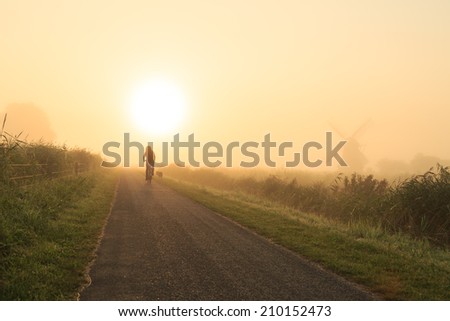 Woman cycling with her dogs in the fog during a summer sunrise in the Dutch countryside.