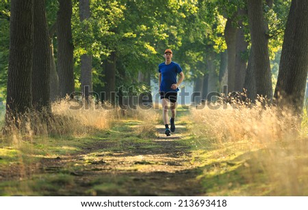 Healthy active lifestyle middle aged man trail running in a lane of tree's on a sunny morning.
