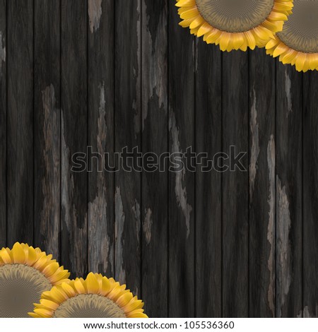 sunflower frame and wooden background
