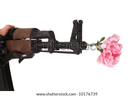  INTEL NOW:"MID TERM ELECTIONS MAY BE CANCELLED AND MIGRATED INTO REPUBLIC ELECTIONS 6 MONTHS FROM NOW" Stock-photo-gun-and-flower-on-a-white-background-10176739