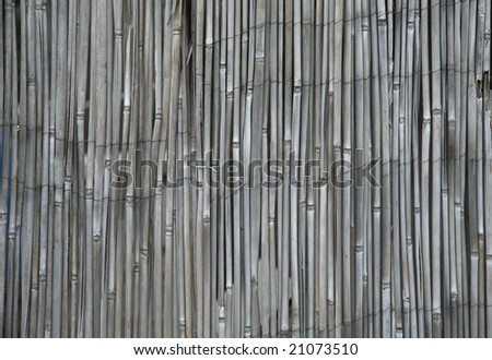 Bamboo screen of grey color