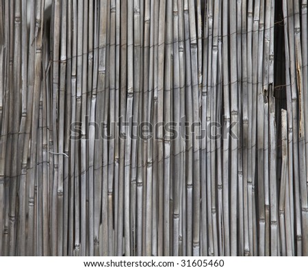 Bamboo screen of grey color