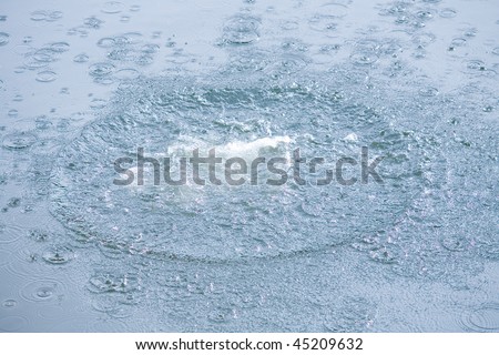 Circles and splashes in the water