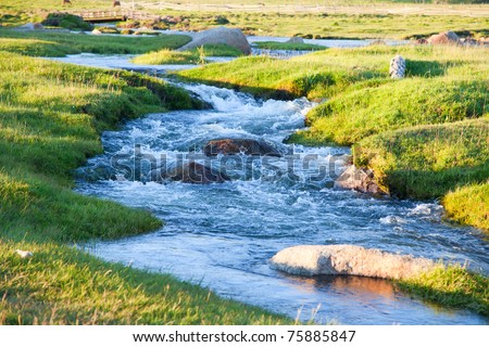 Mountain stream summer evening flowing over the rocks
