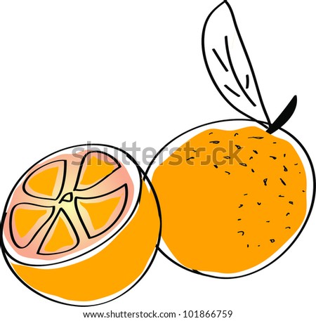 Oranges Drawing