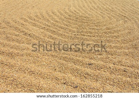 Natural Wheat Grains background