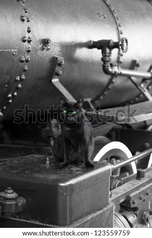 black cat with green eyes on black vintage train locomotive